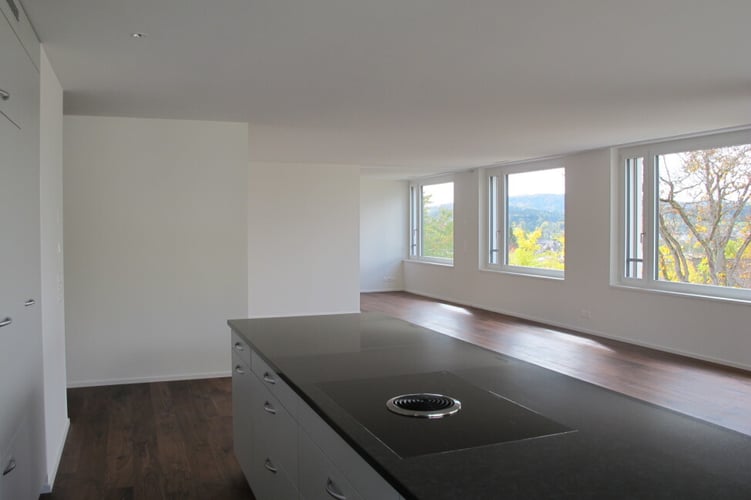 projektentwickler-realisierte-projekte-mfh-im-eichbuehl-winterthur-2